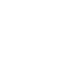 White icon showing a person giving a presentation