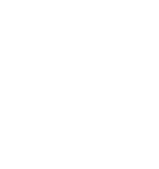White icon showing a person using a laptop